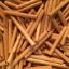 Oboe tube cane