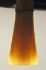 Guner Bassoon Reeds - 5 pack